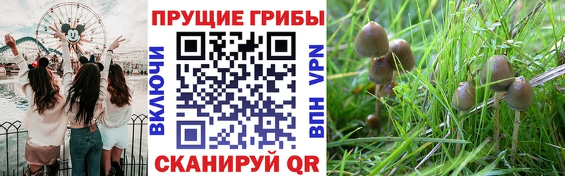 Галлюциногенные грибы ЛСД  Чулым 